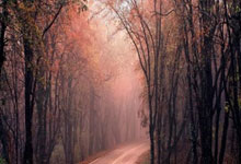 比利时葡萄牙对阵，力争晋级机会