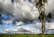 比利时葡萄牙对阵，力争晋级机会