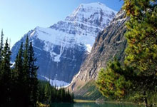 沃特福德门将创造纪录，连续场零封对手