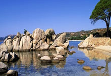 沃特福德门将创造纪录，连续场零封对手